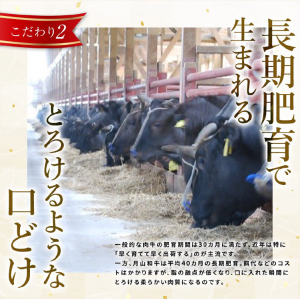 月山和牛　4