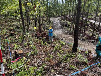 モニタリング調査の様子