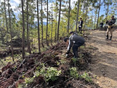 森林作業の様子