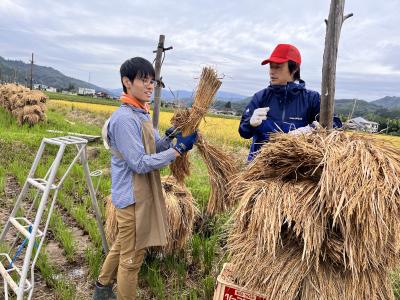 町長が稲刈りしている様子の写真です。