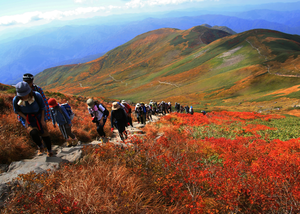 月山の紅葉の写真