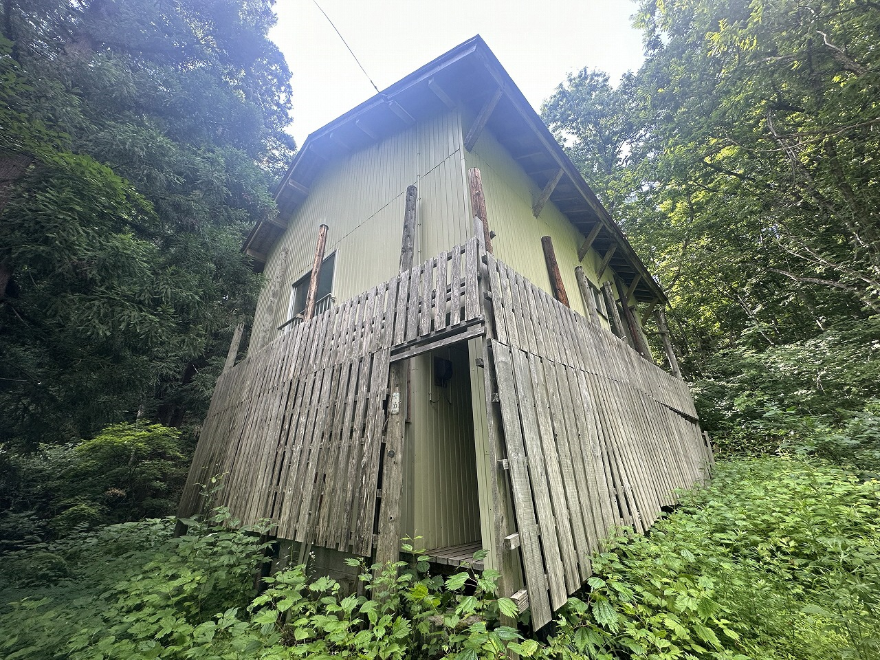 06-01