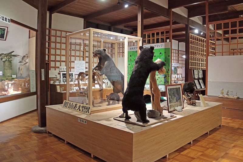 大井沢自然博物館②