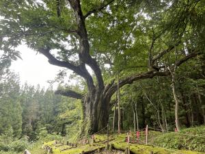県01