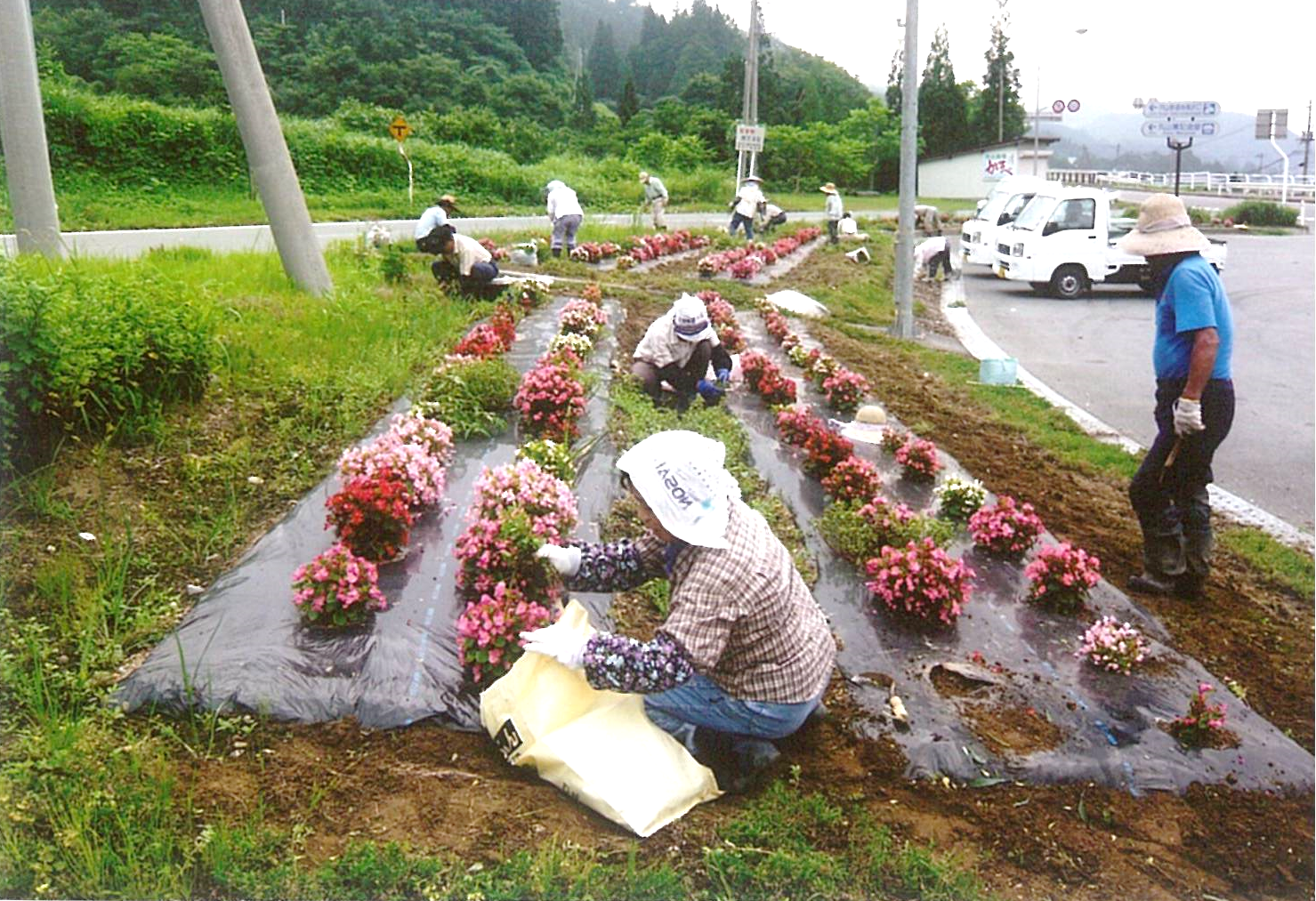 花いっぱい運動