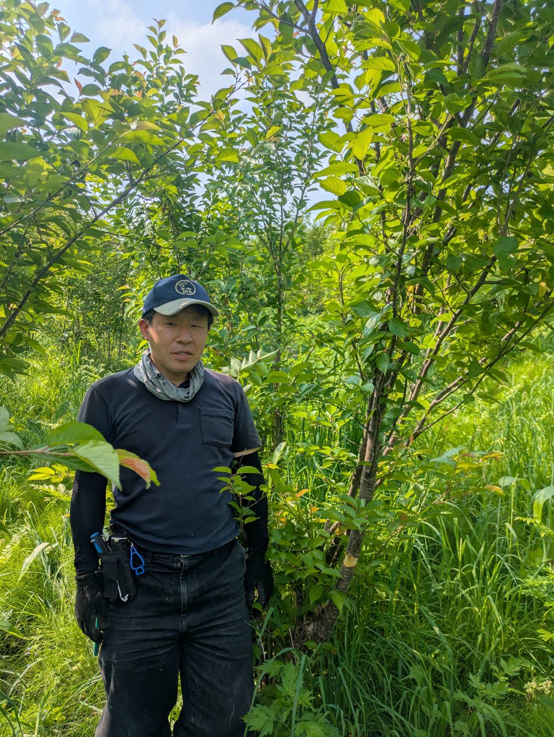 齋藤哲也