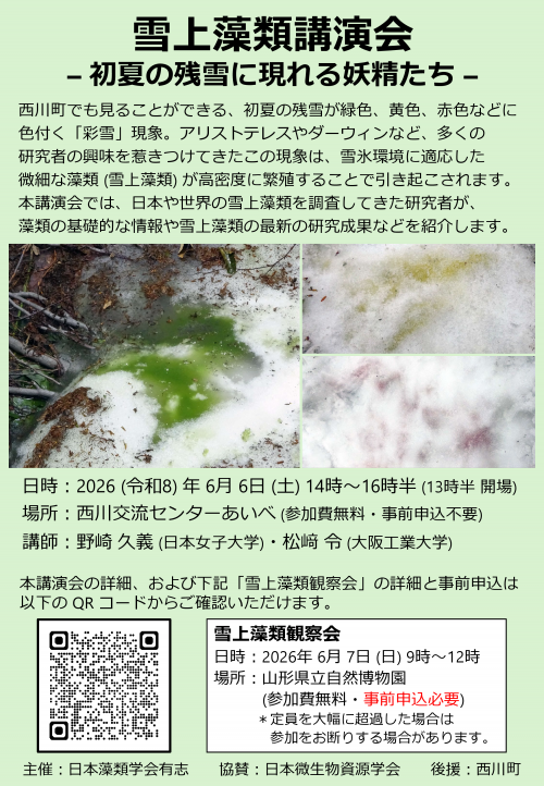 雪上藻類講演会/観察会