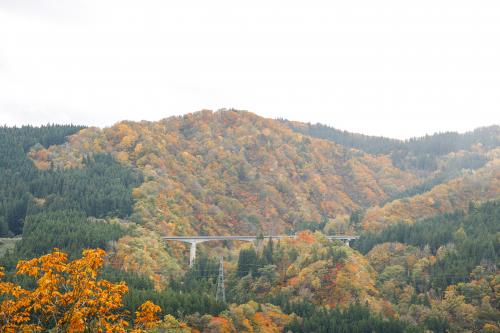 月山花笠ラインの紅葉