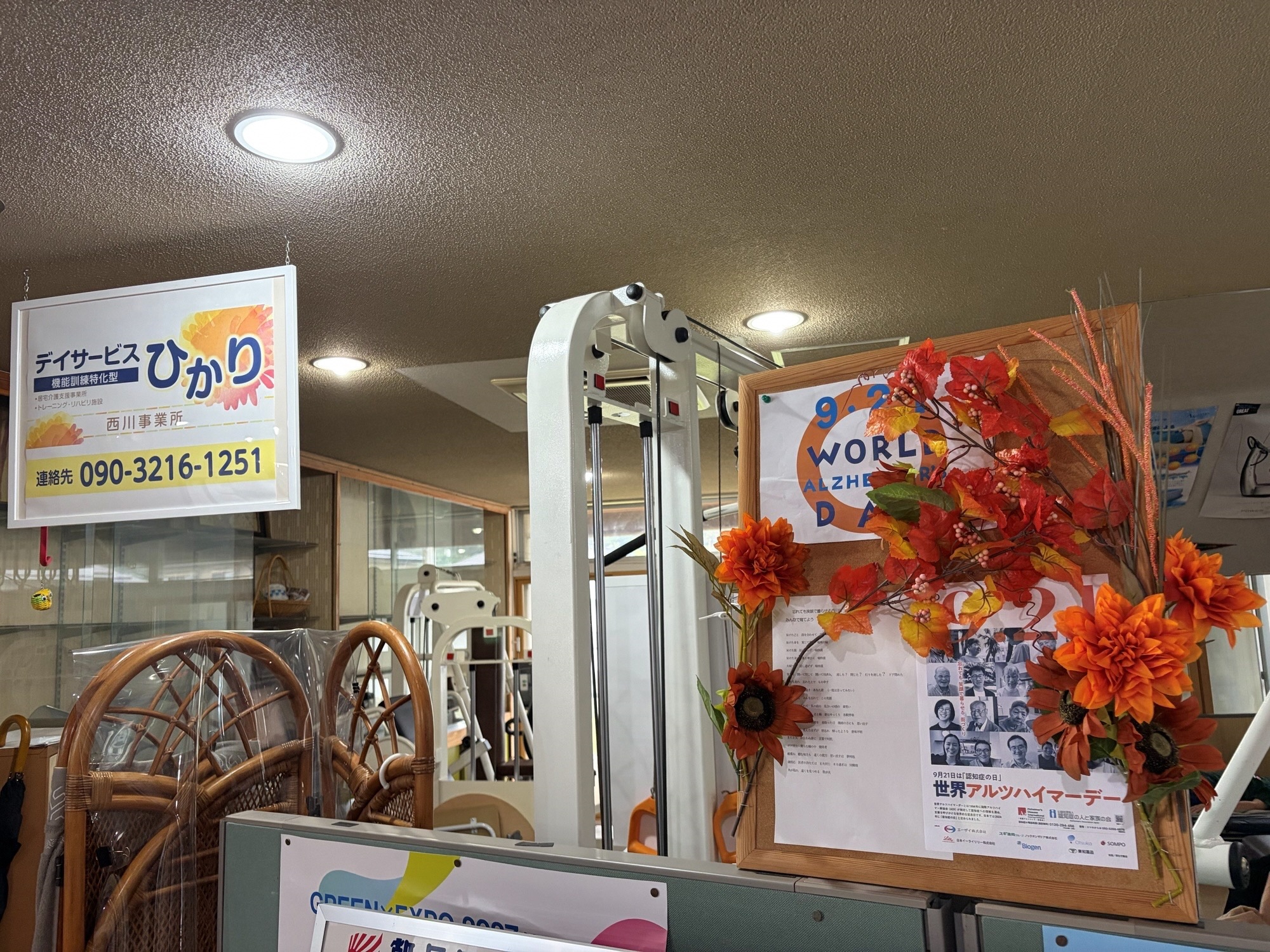 ひかり_全体